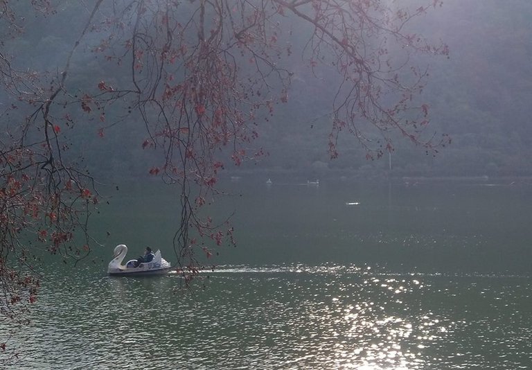 nanital.jpg