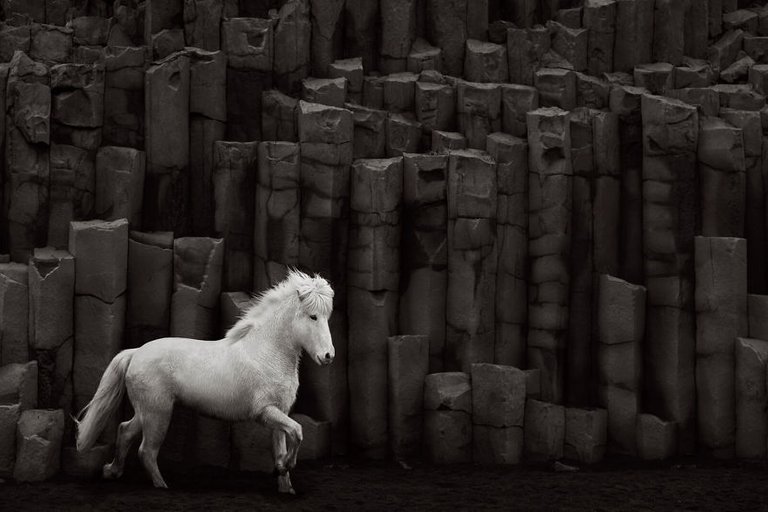 animal-photography-icelandic-horses-in-the-realm-of-legends-drew-doggett-23-5b5afbfb7f016__880.jpg