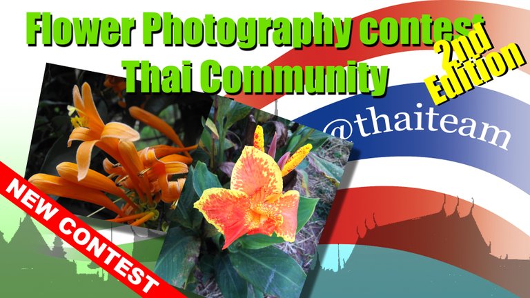 flower second contest Photography.jpg