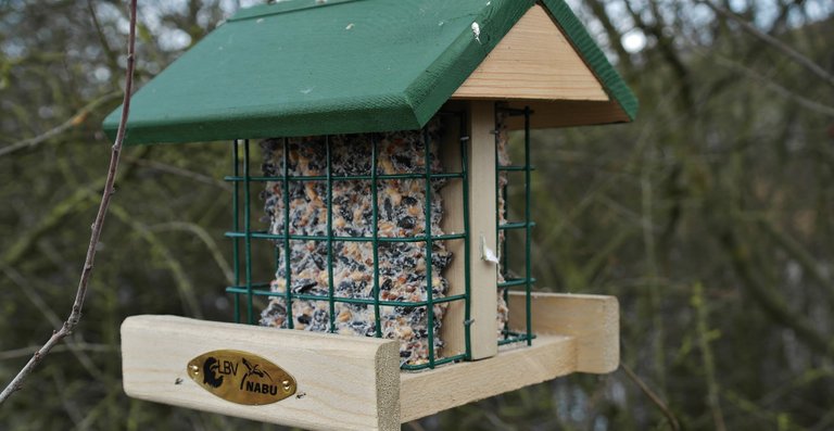 diy bird food recipes.jpg