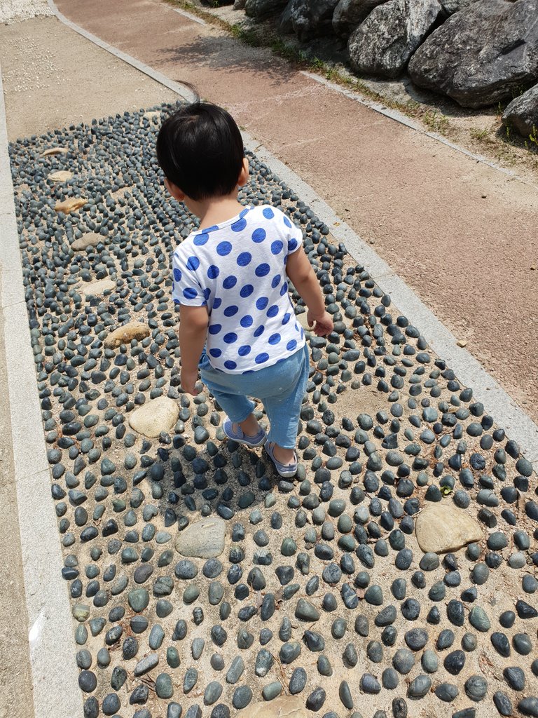20180606_121159.jpg