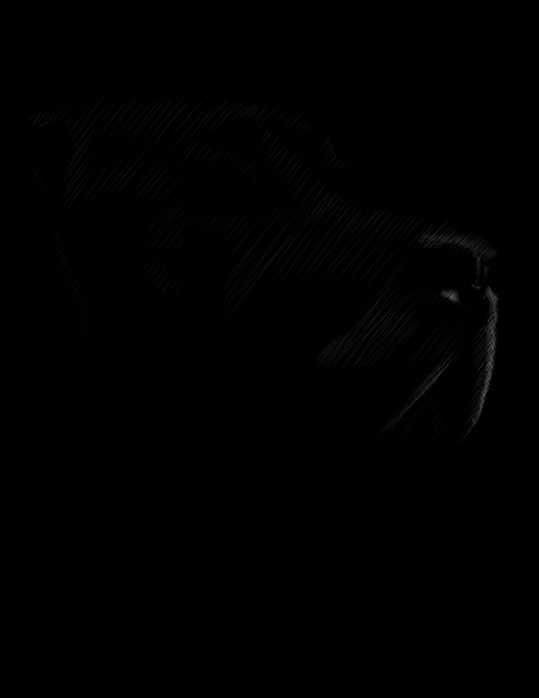 oogy1.png