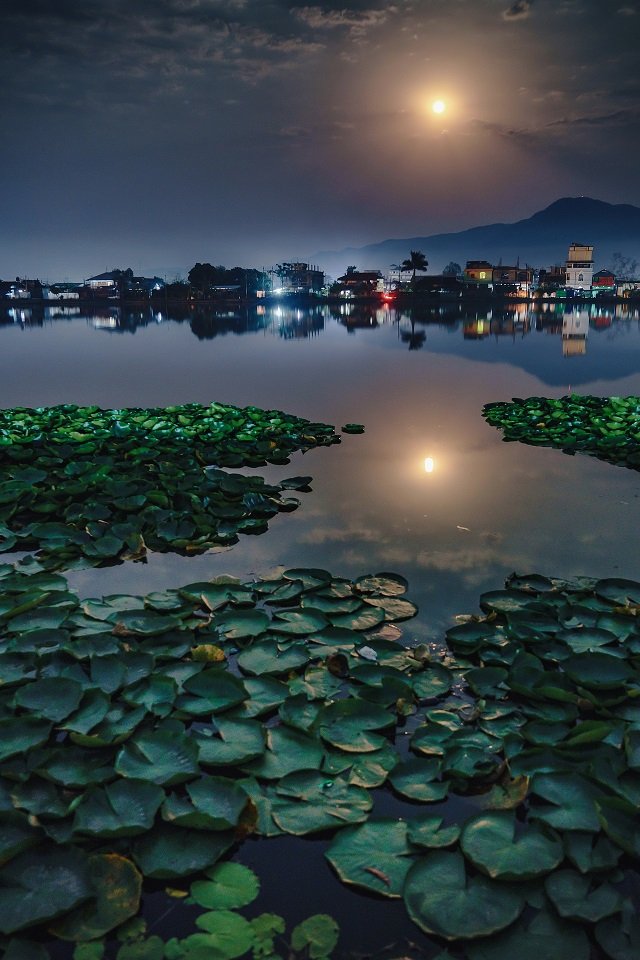 Estanque iluminado por la luz de la luna llena