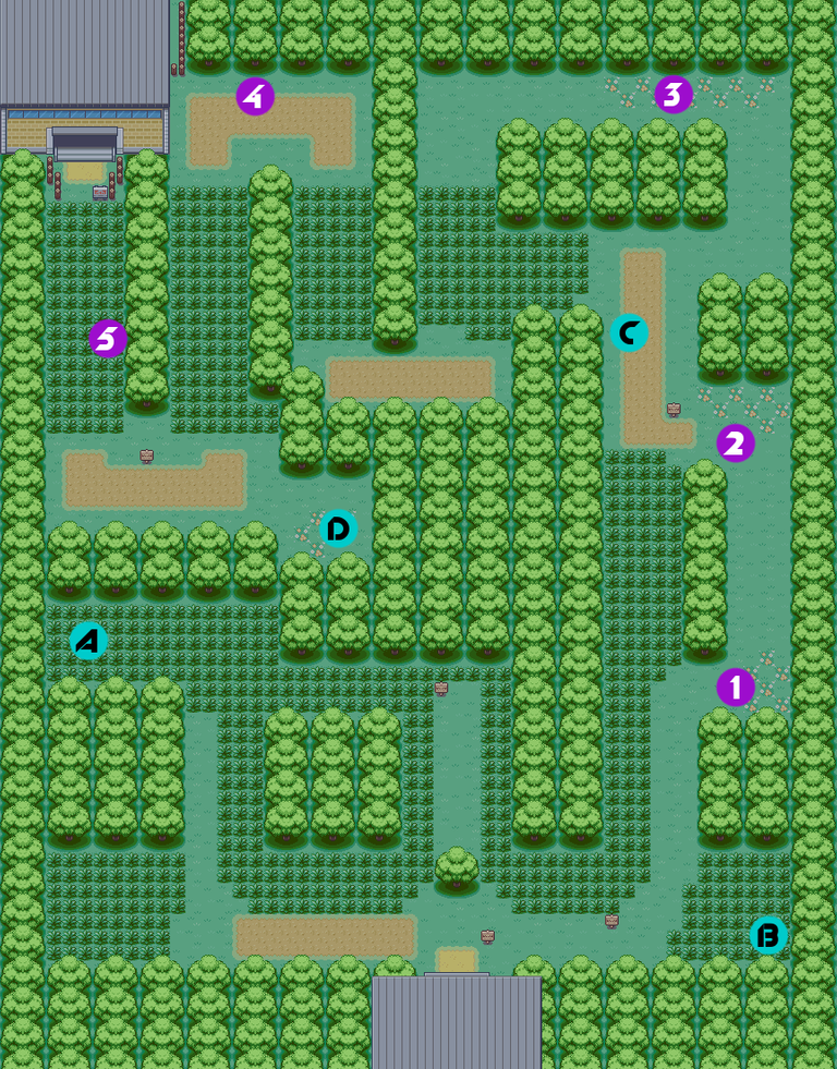 Viridian Forest