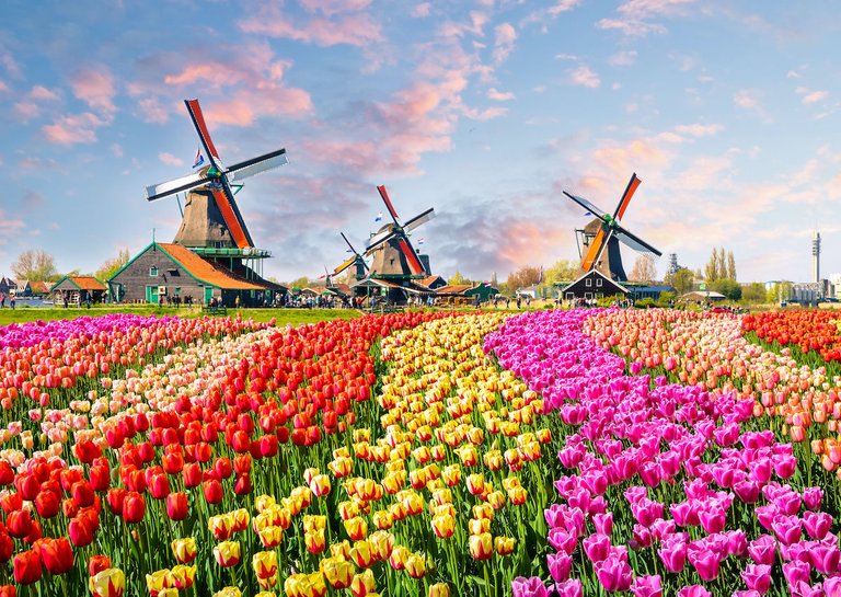 Windmills of Kinderdijk 2
