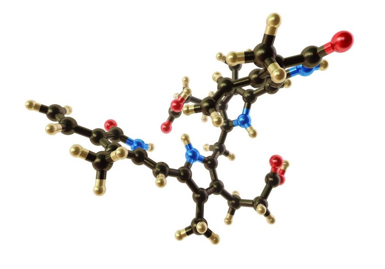 Bilirubin model