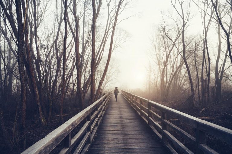 Person taking a winter walk