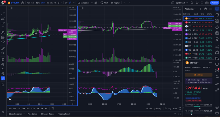 Bitcoin Rally Is Losing Steam short term time frame squeeze indicator volume profile market cipher