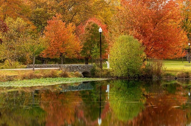 foliage autumn season Verona Park in New Jersey near montclair photography art