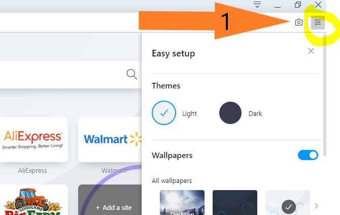 Click the ‘Easy Setup Button’ beside the Snapshot symbol toward the top right corner