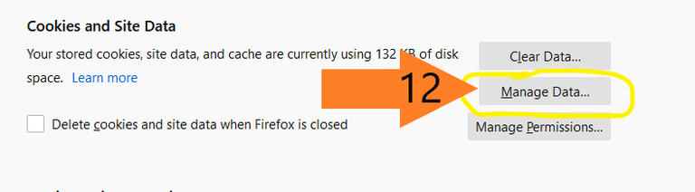 removing Firefox Browser Cookies-step12