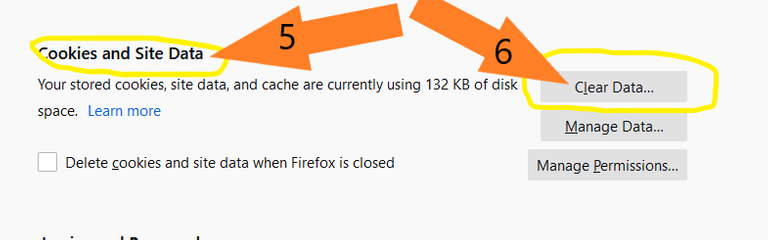 removing Firefox Cookies-steps5-6