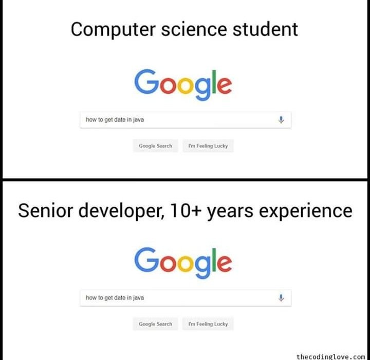 Computer Science Student VS Senior Developer