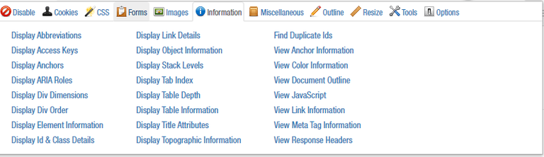 Information Tab from the Web Developer Extension