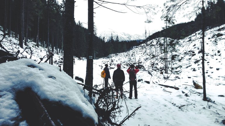   The first pit stop – the first glimpse of the High Tatras, just outside Kuźnice. Photo by Alis Monte [CC BY-SA 4.0], via Connecting the Dots