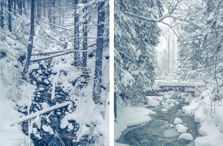   Two mountain streams in Tatra Mountains: Waksmundzki Potok (left) Bialka (right) 2017. Photo by Alis Monte [CC BY-SA 4.0], via Connecting the Dots