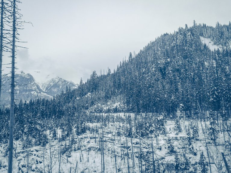   A sneak peak of Morskie Oko hike. Photo by Alis Monte [CC BY-SA 4.0], via Connecting the Dots