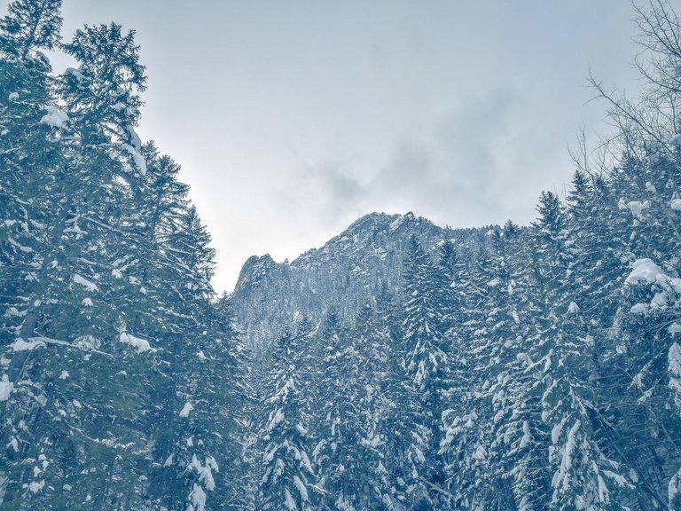   I had to return to the area the next year to realize that the scenery of the hike to Morskie Oko is dominated by mountains. Photo by Alis Monte [CC BY-SA 4.0], via Connecting the Dots