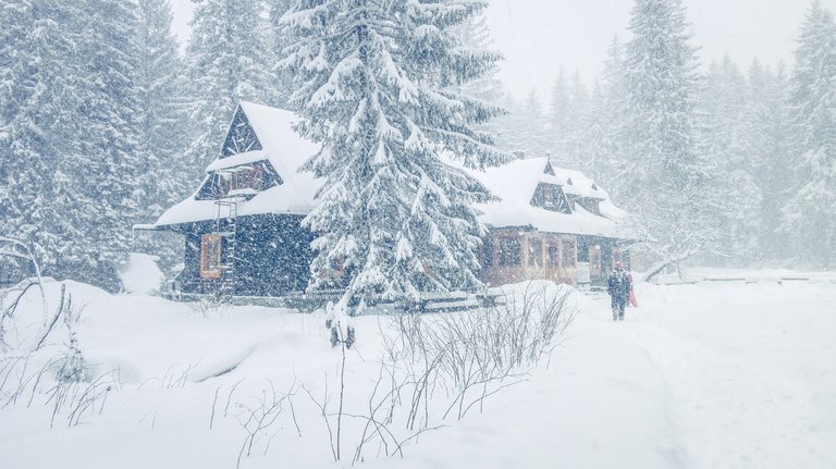   It is quite surprising to find a house in the middle of forest. The first thought that it must be a witch living here. Photo by Alis Monte [CC BY-SA 4.0], via Connecting the Dots