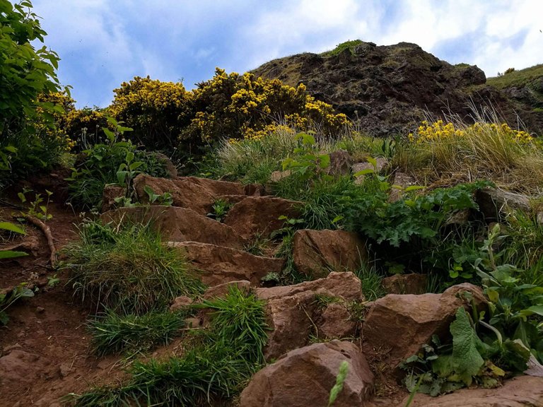 On a hike to Arhur's Peak