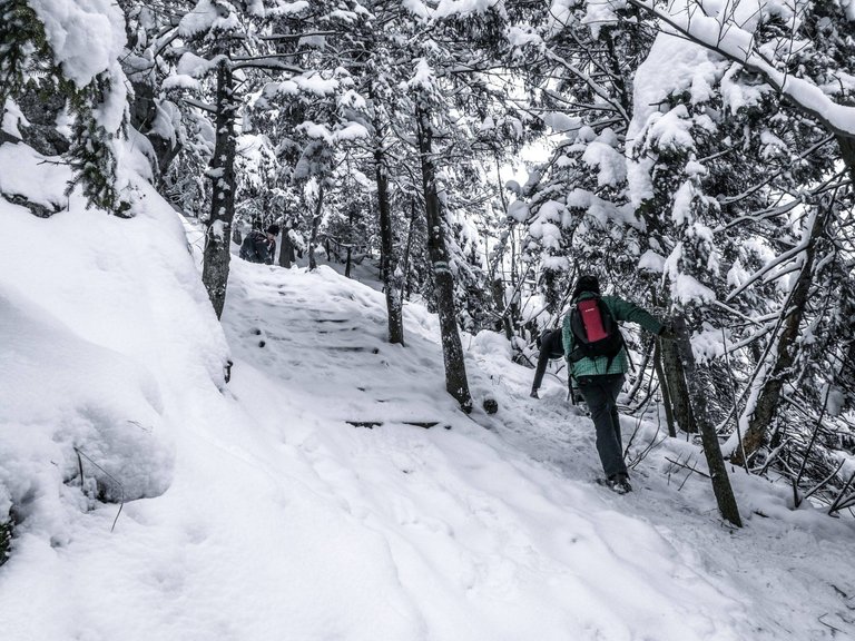   In these conditions, steps are just making it harder. Photo by Alis Monte [CC BY-SA 4.0], via Connecting the Dots