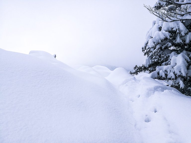   I wouldn’t walk here without a trekking pole to check if there is a firm ground to stand on beneath the snow. Photo by Alis Monte [CC BY-SA 4.0], via Connecting the Dots