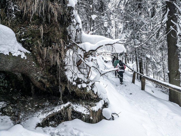   Generally, climbing Nosal mountain is easy, but it could be challenging if you are unprepared. Photo by Alis Monte [CC BY-SA 4.0], via Connecting the Dots