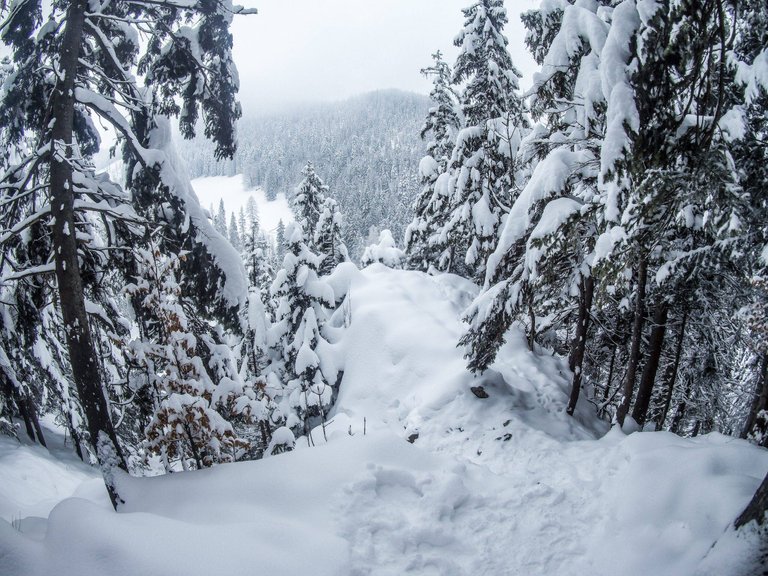   The beauty of winter mountains might be dangerous. Don’t take risks. Photo by Alis Monte [CC BY-SA 4.0], via Connecting the Dots