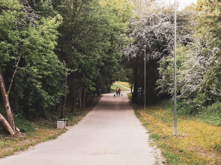 The green area between central Vilnius and brutalist micro-districts