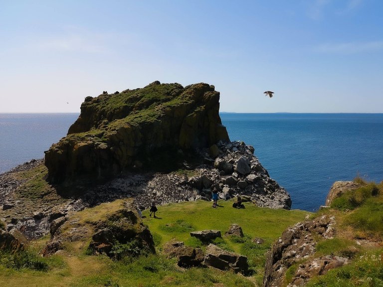 Approaching guillemot colony on Lunga Island, the Treshnish Isles wildlife tour, Scotland