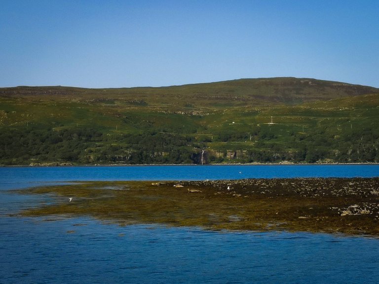 Common Atlantic Seals spotted on an islet during the Treshnish Isles wildlife tour, Scotland