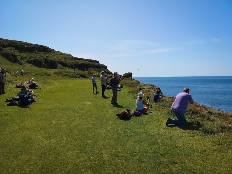 People taking pictures of puffins on Lunga Island, the Treshnish Isles wildlife tour, Scotland