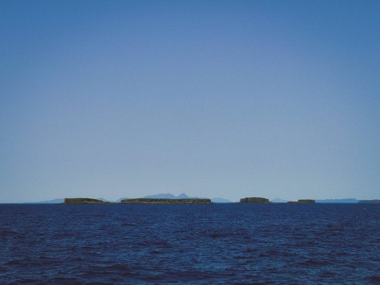 The Treshnish Isles wildlife tour from Oban, Scotland