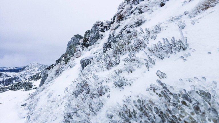   Frozen flora above the treeline in High Tatra mountains. Photo by Alis Monte [CC BY-SA 4.0], via Connecting the Dots