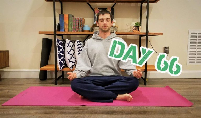 100 Day Yoga Challenge — Hive 