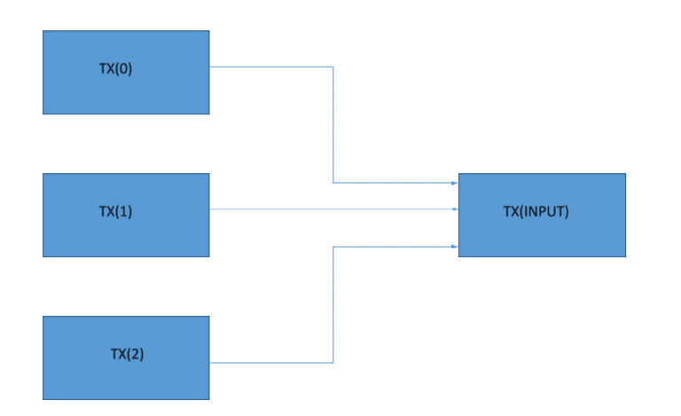 transaction input