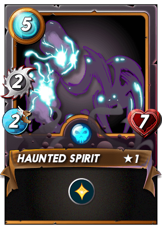 Haunted Spirit