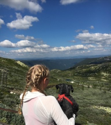 Gaustatoppen (1883 metres over sea level) 