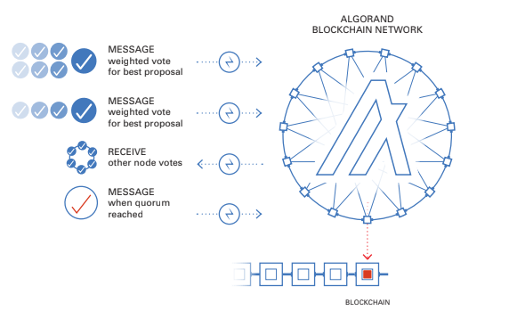 Schéma sur la certification du vote