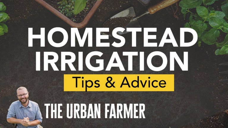 Homestead Irrigation Tips and Advice