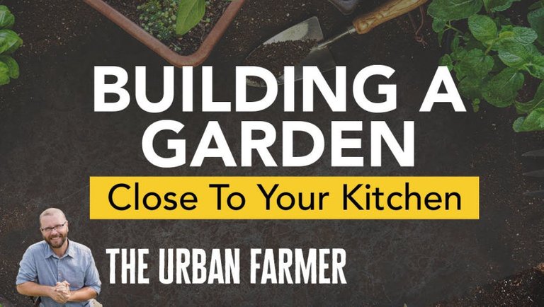 Building a Garden Close To Your Kitchen: Homesteading Advice