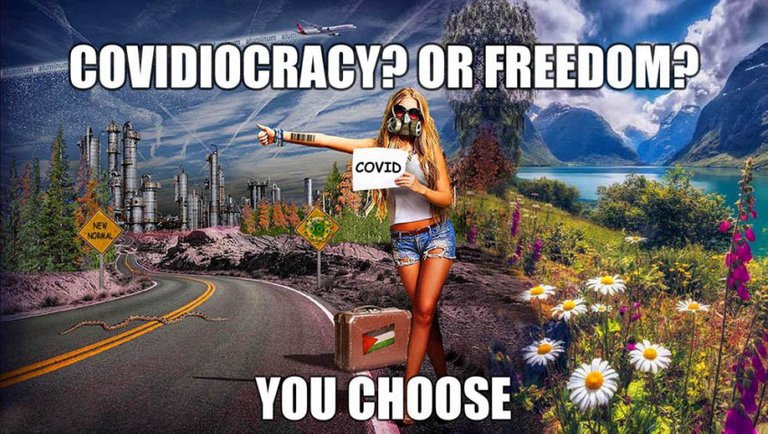 A World of Freedom? Or Covidiocracy? It's Your Choice