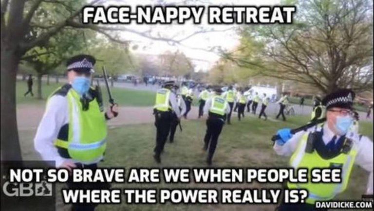 The Face Nappy Retreat - David Icke