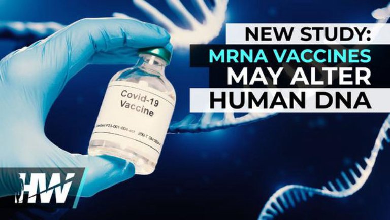 NEW STUDY: MRNA VACCINES MAY ALTER HUMAN DNA