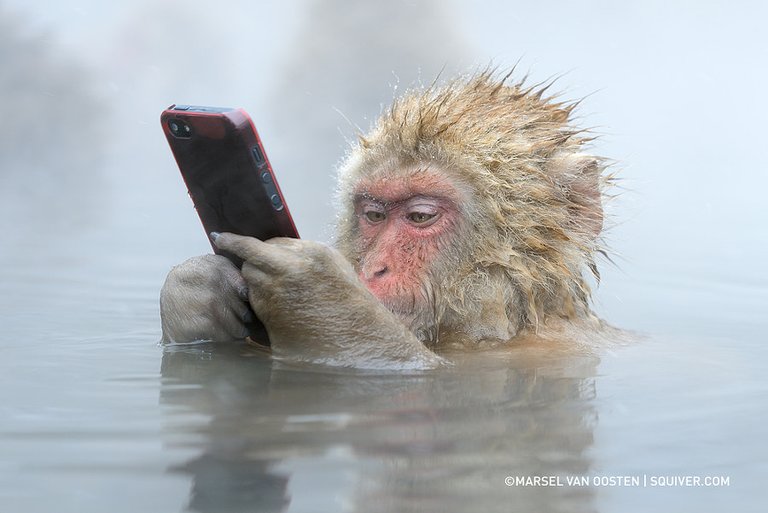 Facebook Update by Marsel van Oosten on 500px.com