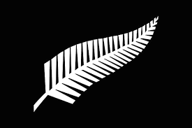 Image result for nz flag funny