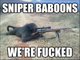 sniperbaboons