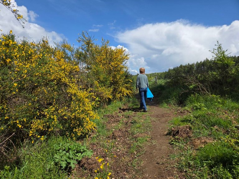 Wandern 2