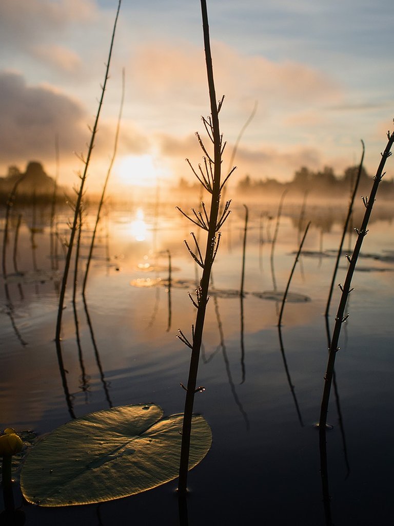 Russia morning