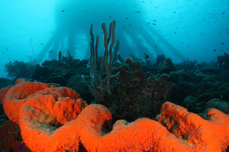 Bonaire salt pier